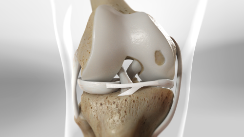 Cartilage Injuries in the knee: Evaluation and Treatment